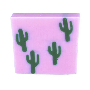 Cactus Makes Perfect Seife